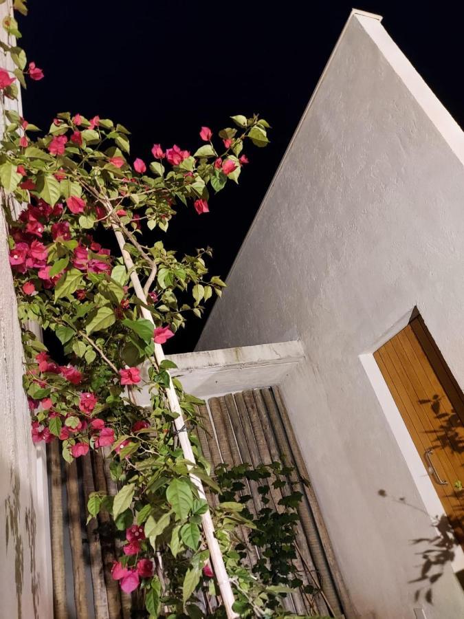 Statera Host Vila Alto Paraíso de Goiás Exterior foto